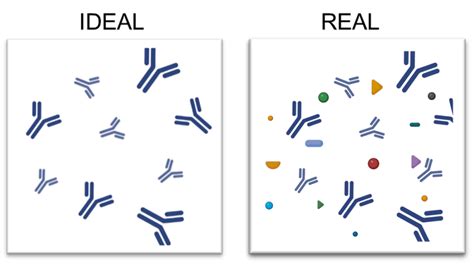 Host Cell Proteins