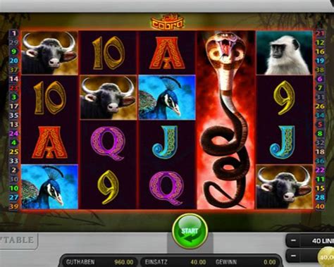 hot and wild slot machine cobr