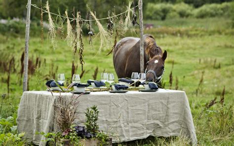 hotellpaket midsommar