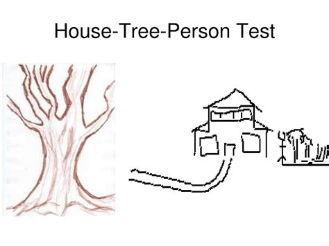 House Tree Person Test