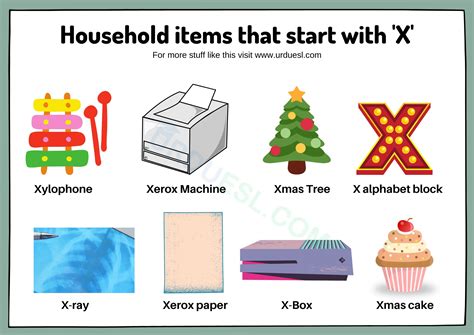 Household Items That Start With X Things That Objects That Begin With X - Objects That Begin With X