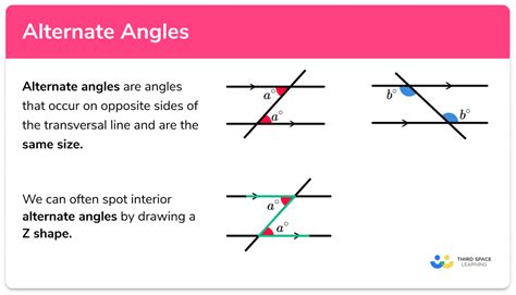How Do You Find Alternate Exterior Angles?