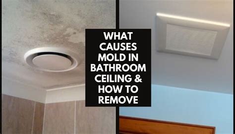 How Does Mold Grow On Bathroom Ceiling?