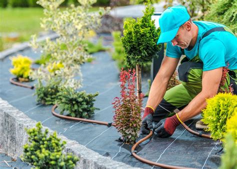 how much do landscapers start out making in florida?