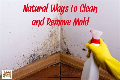 how to clean green mold in bathroom?