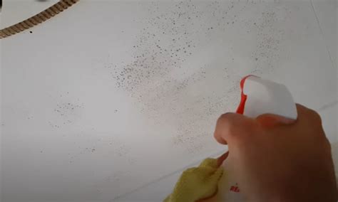 How To Clean Mold Off Bathroom Roof?