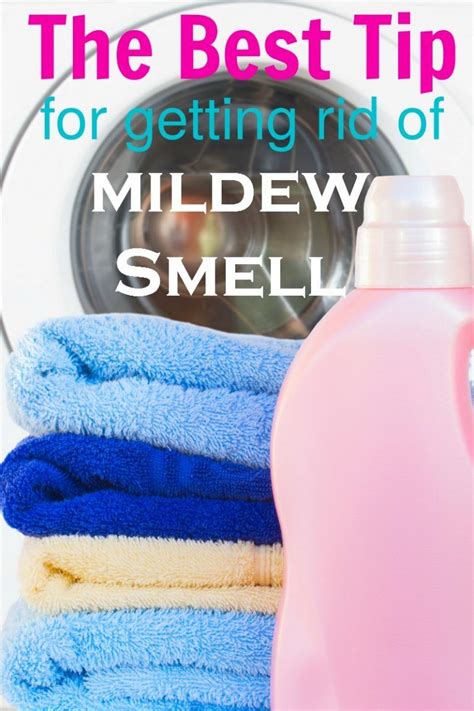 How To Get Rid Of Mold Smell In Bathroom Cabinets?