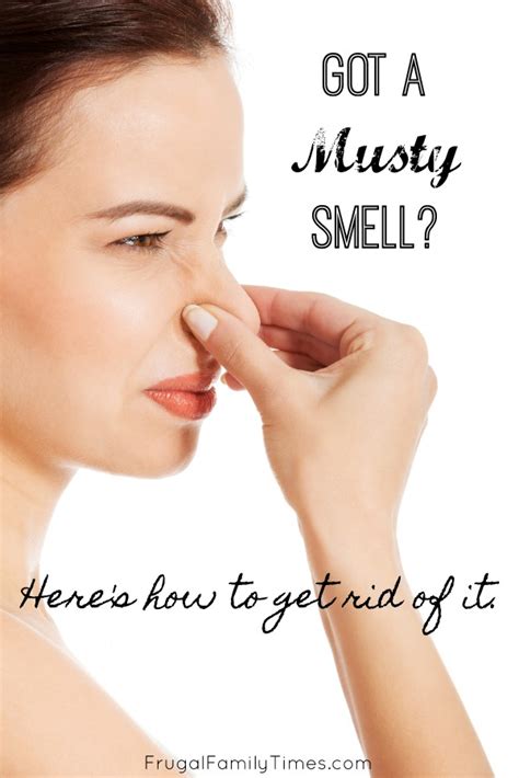 How To Get Rid Of Musty Smell In The Bathroom?