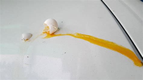 how to remove egg from car exterior?