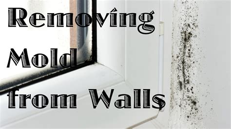 How To Remove Mildew From Bathroom Walls Before Painting?