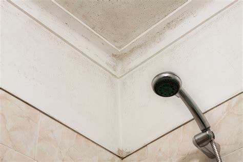 How To Remove Mold From Bathroom Ceiling With Borax?