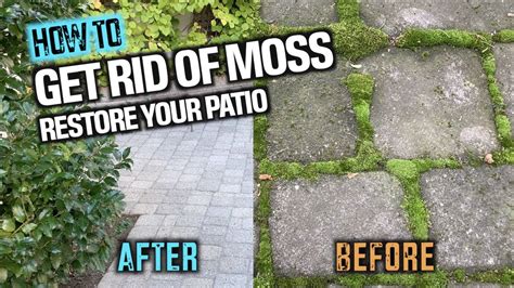 how to remove moss from landscape blocks?