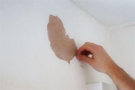 How To Remove Peeling Paint From Bathroom Wall?