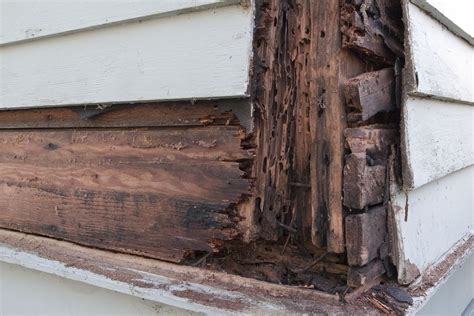 how to repair exterior dry rot wood?