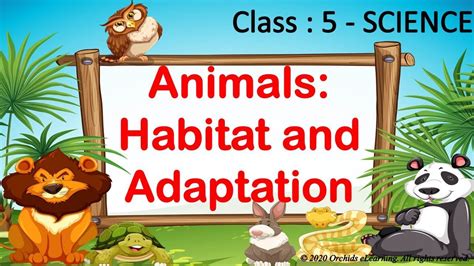 How Animals Adapt To Habitat 5th Grade Science Science Adaptation Worksheet 5 Grade - Science Adaptation Worksheet 5 Grade