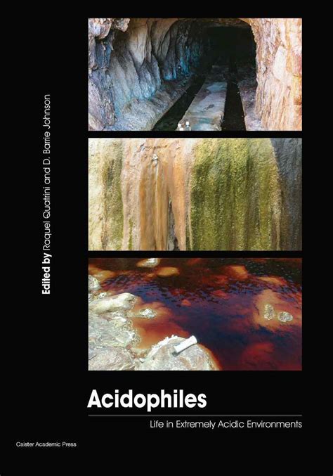 how are acidophiles adapted to their environment