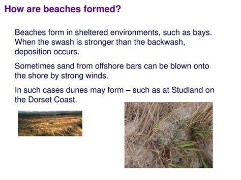 how beaches form
