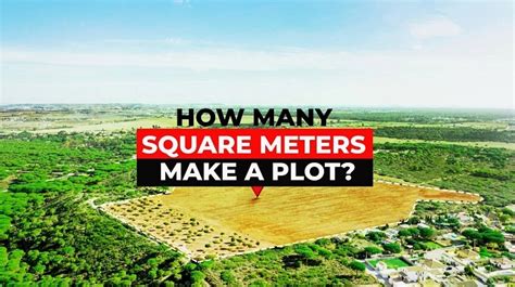 How Big Is 50 M
