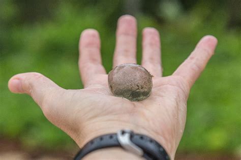 how big is a single cell