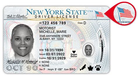 how can i get a state id