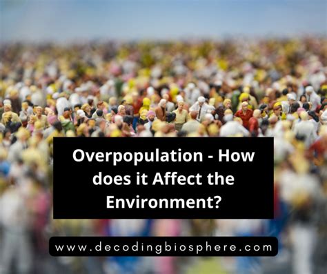 how can overpopulation affect the environment