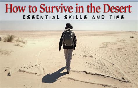 how can you survive in the desert