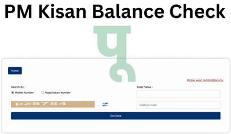 how check pm kisan balance check