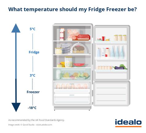 how cold a fridge should be