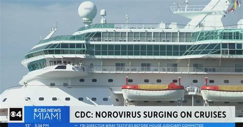 how common is norovirus on cruise ships