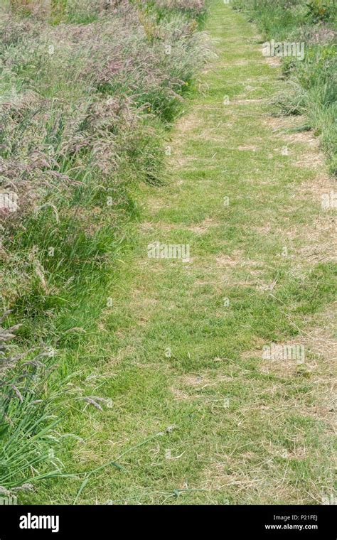 how be bounded by make a country-like shake