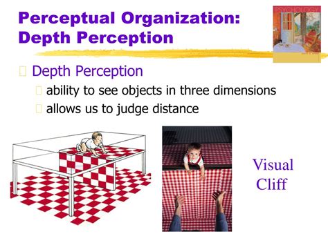 how depth perception works