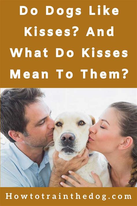 how do i make my dog kiss me