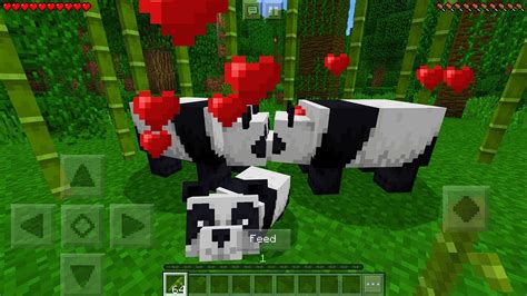 how do pandas make babies in minecraft