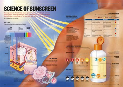 How Do Sunscreens Work The Science Lab Muffin Sunscreen Science - Sunscreen Science
