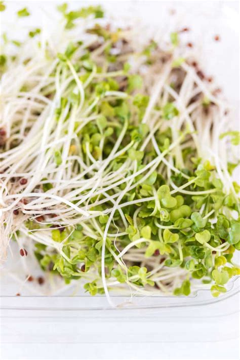 how do you cook broccoli sprouts