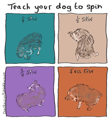 how do you teach your dog to spin