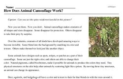 How Does Animal Camouflage Work Reading Comprehension Animal Camouflage Worksheet - Animal Camouflage Worksheet
