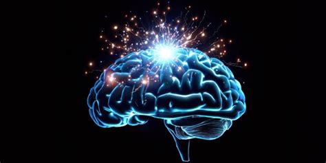 how does brain plasticity work