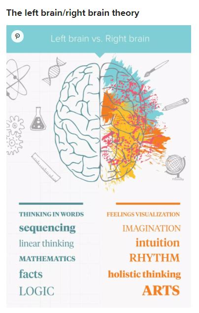 how does brain process information