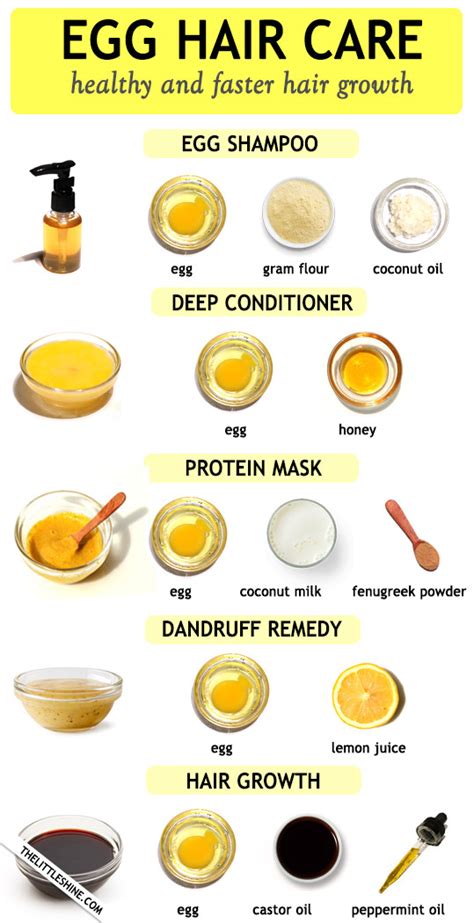 how does egg help in hair growth