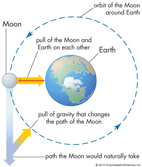 How Does Gravity Form