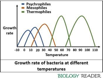 how does temperature affect microbial growth