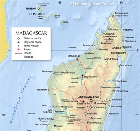 How Does The Madagascar Big Headed Turtle Defense Work