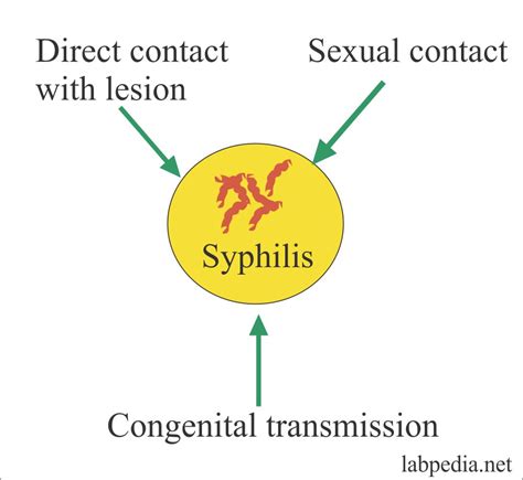 how easily is syphilis transmitted