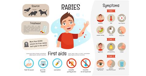 how easy is it to get rabies