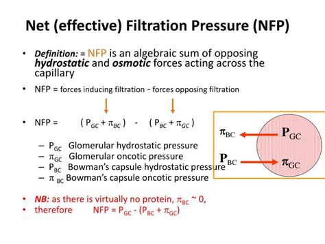 how effective is nfp