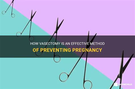 how effective is vasectomy in preventing pregnancy
