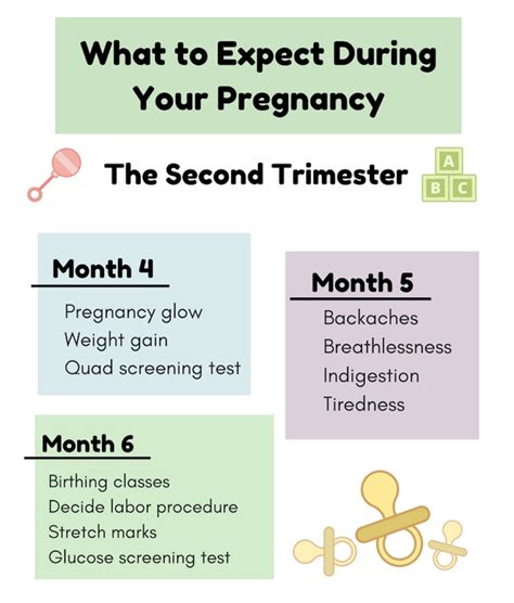 how far along is second trimester
