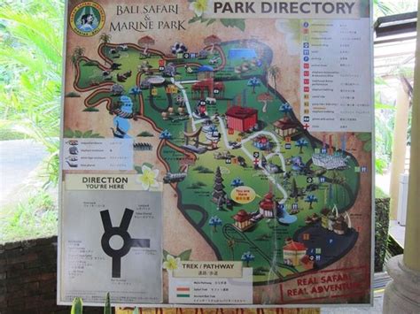 how far is Kuta to Safari and marine park - tripadvisor.com.ph