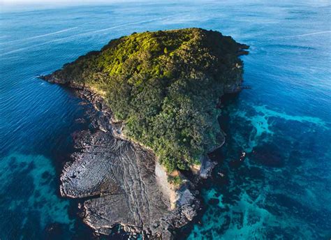 how far is goat island from auckland